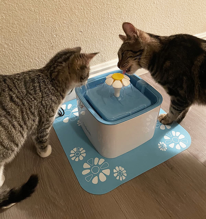 A cat enjoying a drink from the automatic water fountain as another observes curiously