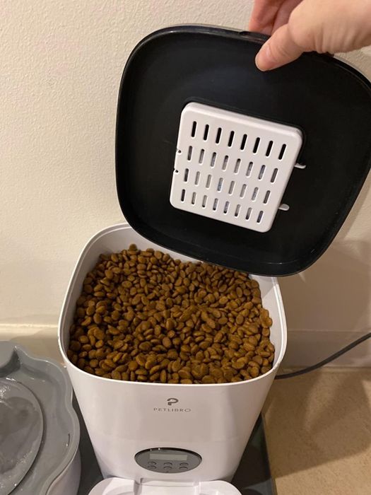 A top-down view of the automatic cat feeder, showcasing the pre-loaded dry kibble ready for dispensing