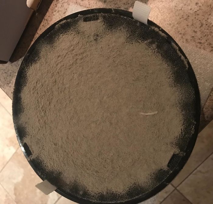 A photo from the reviewer displaying the filter, revealing the amount of dust it has collected.