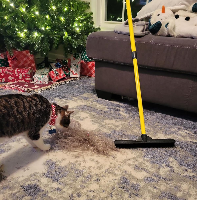 the carpet rake placed next to a pile of collected fur, with a curious cat sniffing it