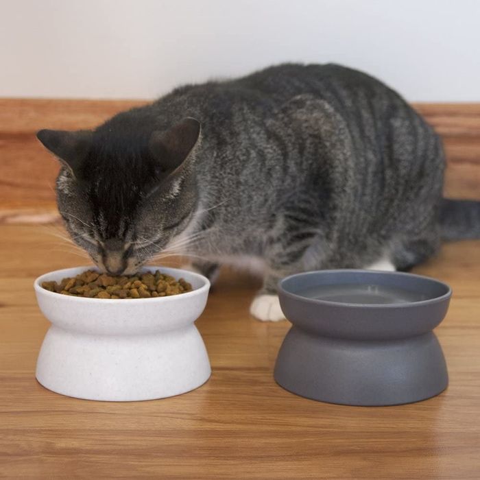 a grey striped cat eating from a light grey raised food bowl