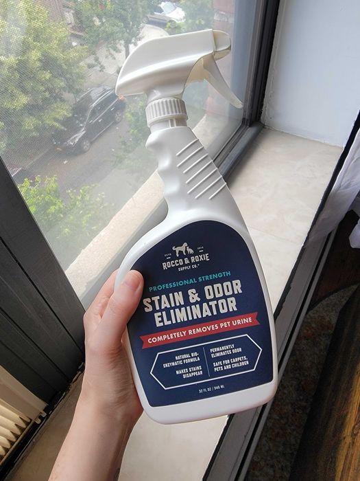An editor is seen holding a bottle of Rocco & Roxie stain and odor eliminator spray, showcasing its sleek design and ease of use.