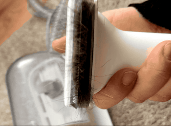 A gif showing a reviewer pressing a button on the vacuum tool, with pet hair being suctioned into the inner chamber as it sticks to the bristles