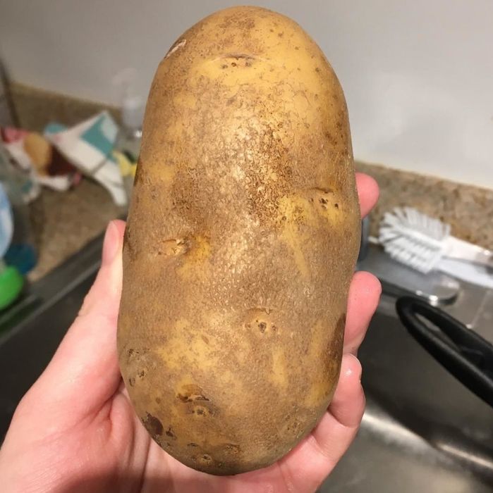 A reviewer's before photo showing a dirty potato