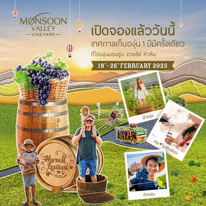 มอนซูน แวลลีย์ หัวหิน จัดงานฉลองเทศกาลเก็บเกี่ยวองุ่นประจำปี