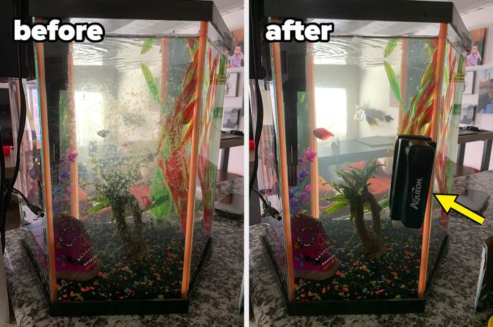 Before-and-after shots of a dirty fish tank, followed by the same tank looking crystal clear after using the cleaning magnet