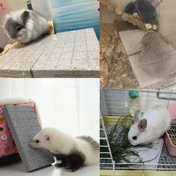 A rabbit, ferret, and chinchilla all sitting on the grinding stone