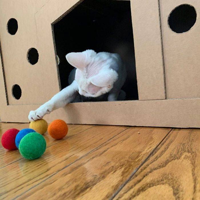 A playful cat swats and pounces on the felted balls, enjoying their soft texture and catnip infusion.