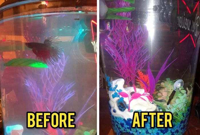 A reviewer's fish tank looking cloudy before applying the conditioner, and crystal clear afterward.
