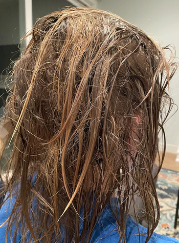 The reviewer’s child’s tangled hair
