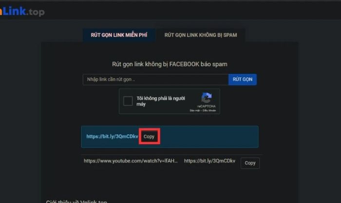 Nhấn Copy để sao chép và chia sẻ đường link với mọi người