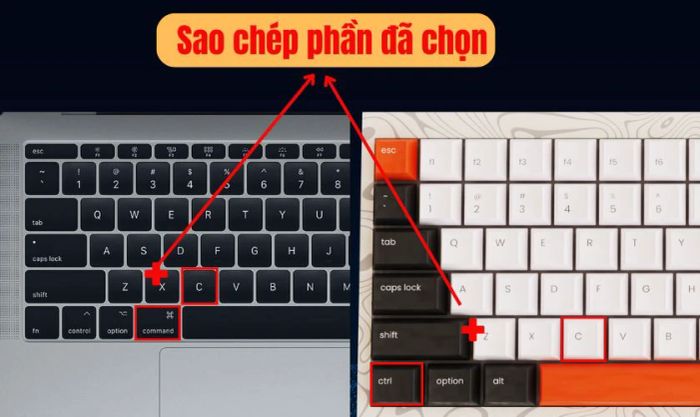 Bàn phím MacBook sử dụng Command và Option thay cho Ctrl và Alt trên bàn phím Windows.