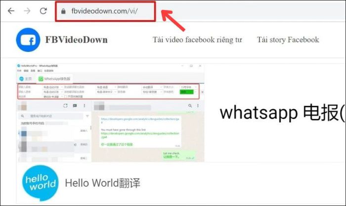 Tải video Livestream Facebook qua trang web FBVideoDown.