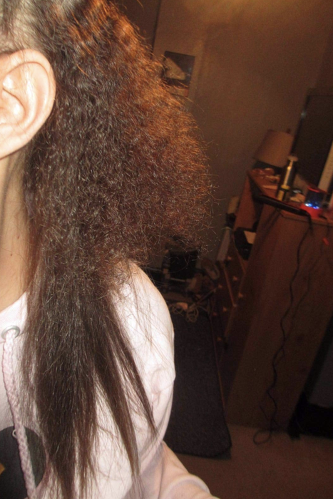 Reviewer displaying their dry hair before use