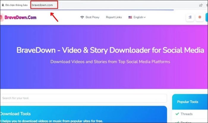 Truy cập vào website BraveDown qua đường link đã cung cấp