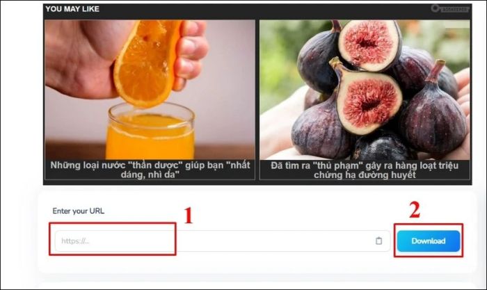 Dán đường link từ Facebook vào ô và nhấn Download