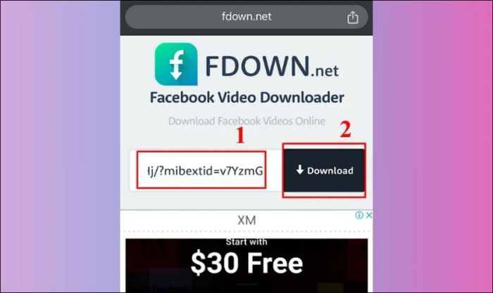 Dán liên kết video và nhấn vào Download