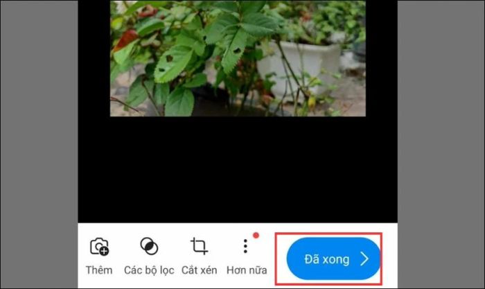 Tùy chỉnh hình ảnh và chọn vào Đã xong
