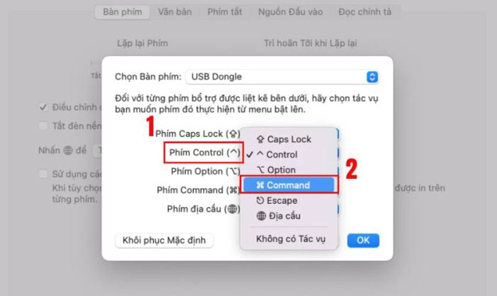 Trong mục Control (^) Key, chọn Command