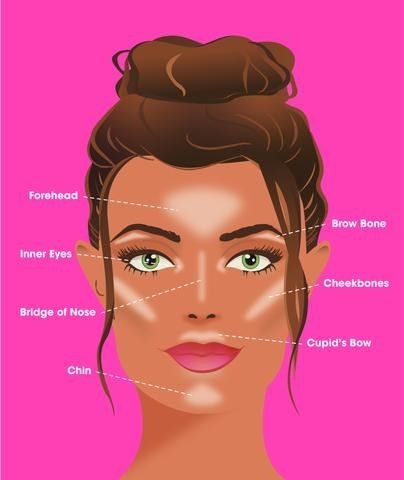 A diagram showing the ideal areas to apply highlighter