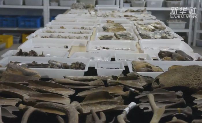 จีนเปิดเผยซากเนินเปลือกหอยที่มีอายุยาวนานถึง 8,000 ปี