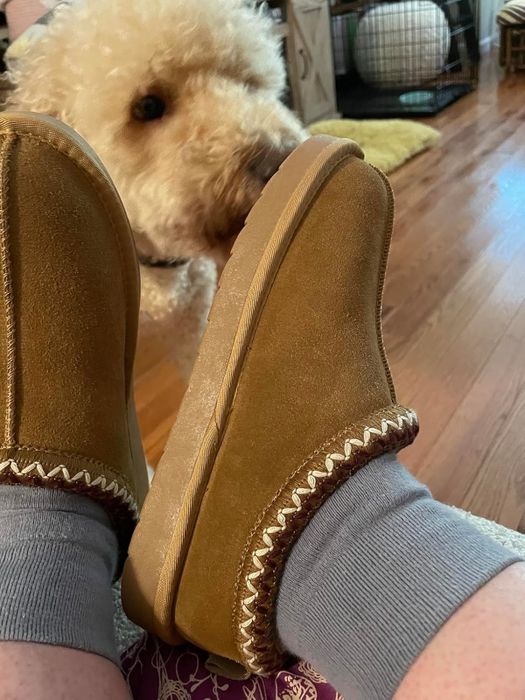 A reviewer wearing comfy, slip-on slippers with visible stitching, while a fluffy dog curiously sniffs them