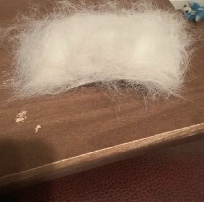 A pile of fur collected from the self-cleaning brush