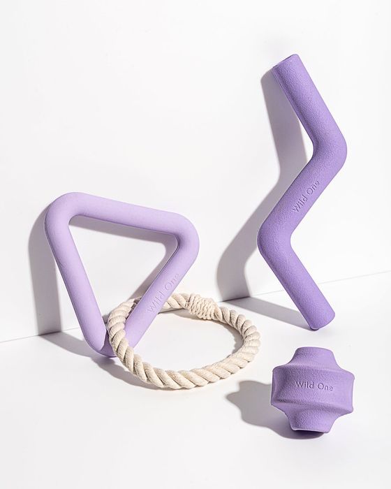 The toy set in purple