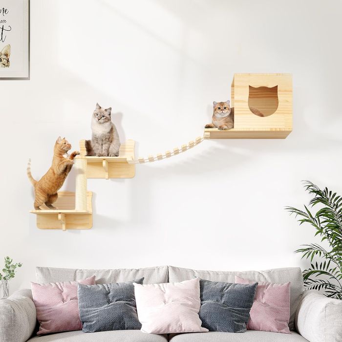 Three cats lounging on wall-mounted cat furniture positioned above a couch, featuring a bridge, platforms, and a cozy shelter for them to enjoy