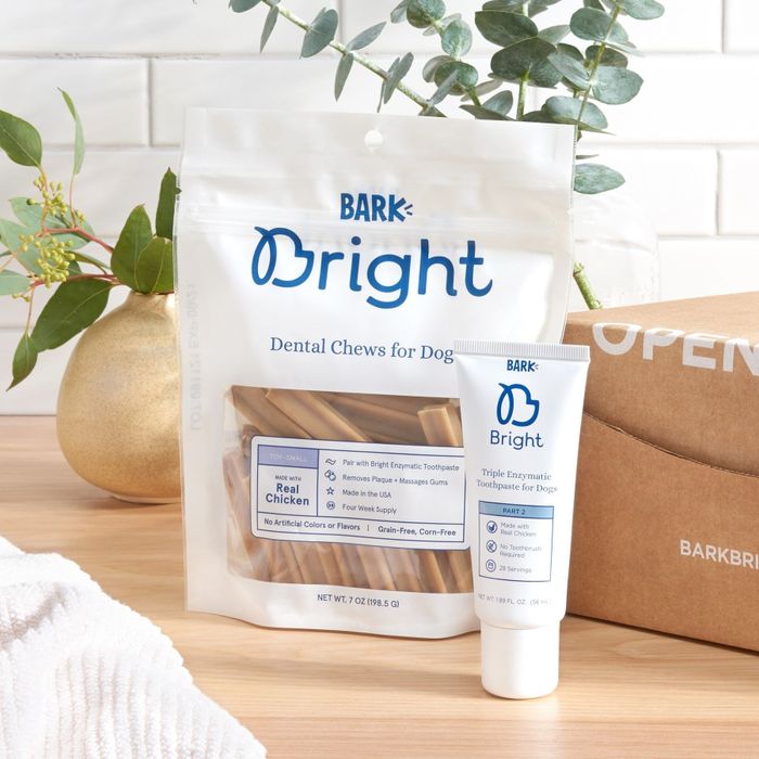 The dental care kit with chews and toothpaste