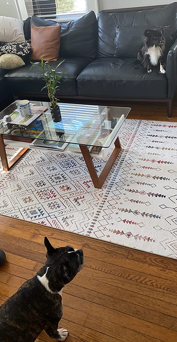 A white Moroccan-style rug styled in the living room, enhancing the overall decor