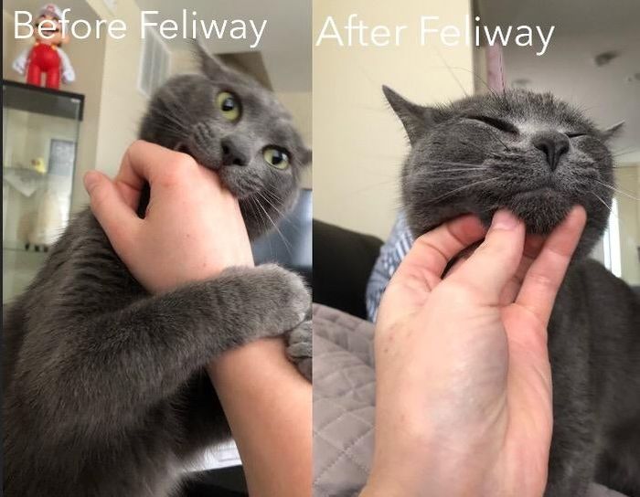 A reviewer demonstrates the calming effects of the diffuser with a before-and-after comparison photo