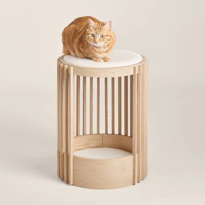 A cat relaxing on a small wood-stained cat tower