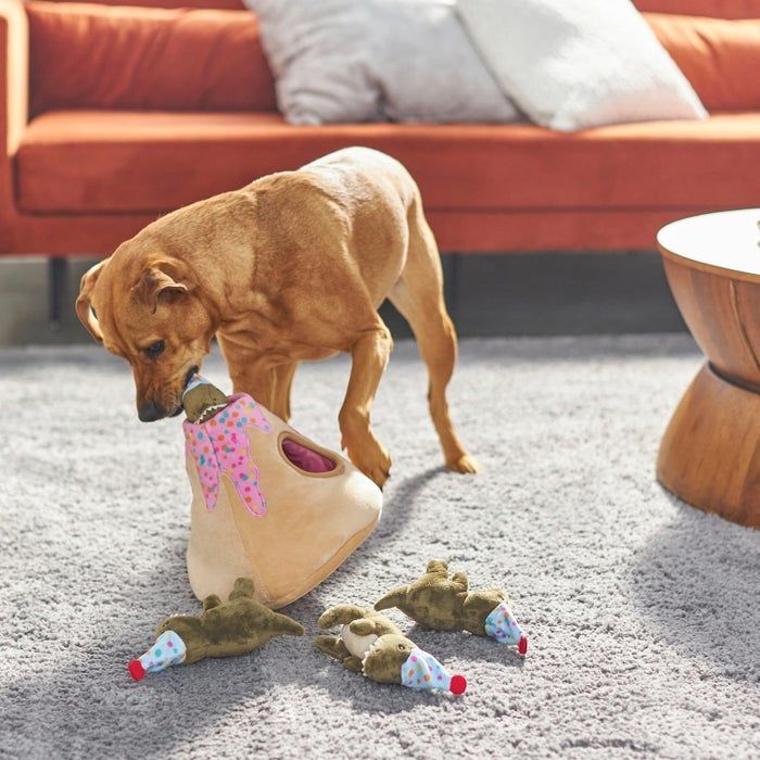 Dog having a blast with the birthday volcano dinosaur hide-and-seek plush toy
