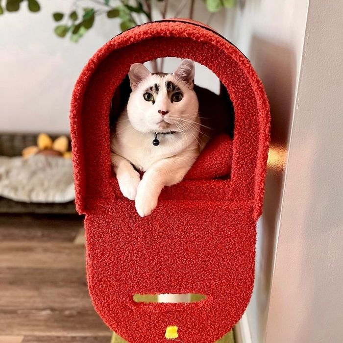 A cat snuggled up inside a cozy, hanging red pet bed that’s shaped like a backpack.