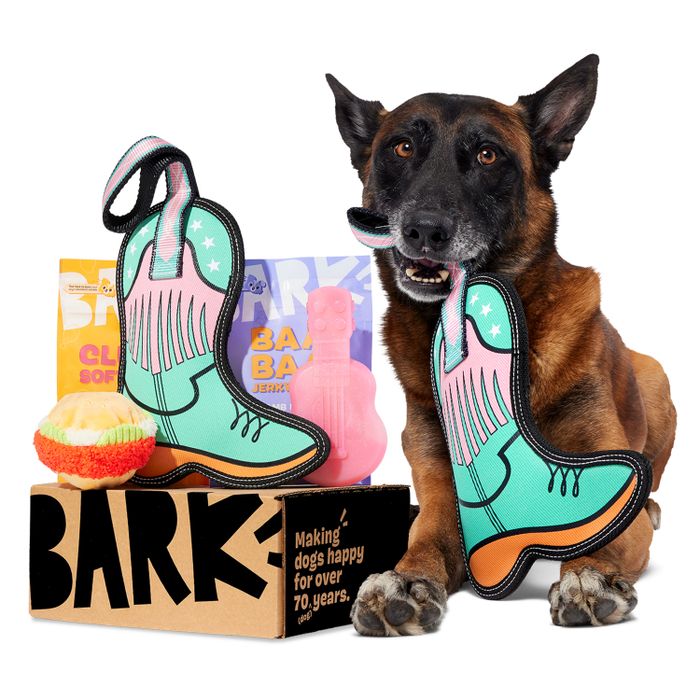 A dog sits surrounded by various pet toys, including colorful boot-shaped chew toys, with packaging labeled