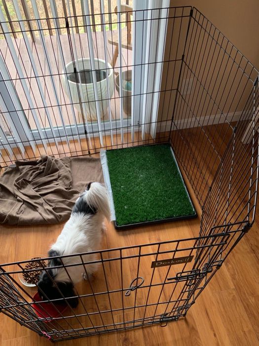 A reviewer showing the artificial grass pad inside a kennel