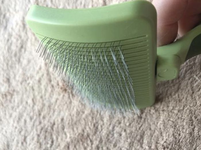 A close-up shot of the retractable teeth on the Hertzko brush
