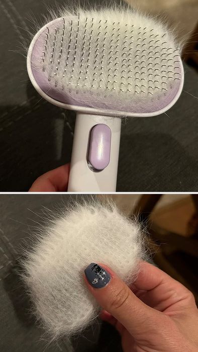 a close-up of a reviewer’s purple and white grooming brush, with cat hair being removed from the bristles