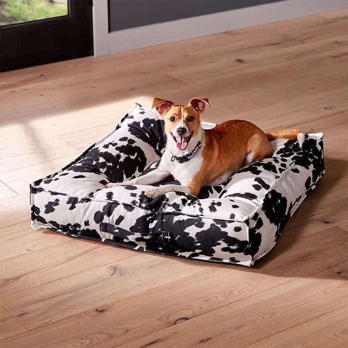 A dog lounging on the medium-sized bed