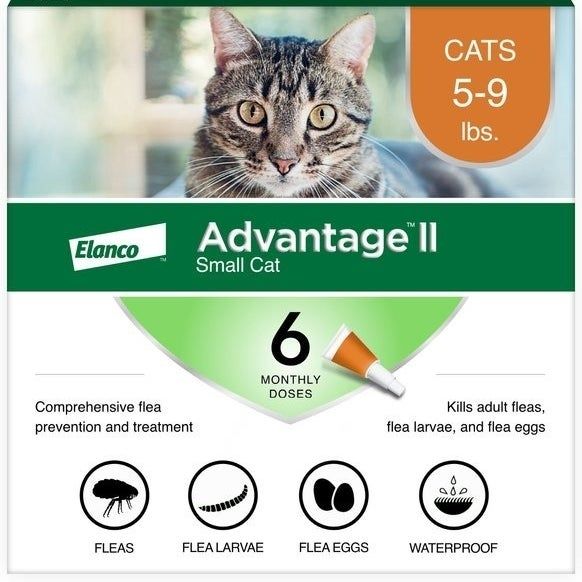 The packaging for Advantage II Small Cat flea treatment, designed for cats weighing 5-9 lbs, provides six monthly doses and offers waterproof protection that targets fleas, larvae, and eggs.