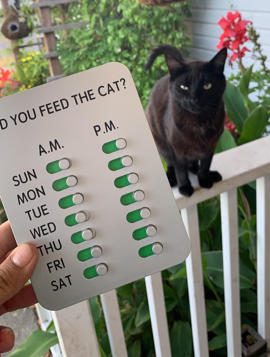 a reviewer holding up the version designed for cats