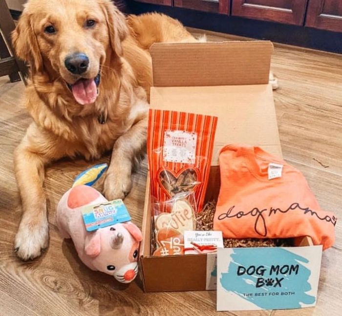 A golden retriever standing next to a subscription box filled with goodies