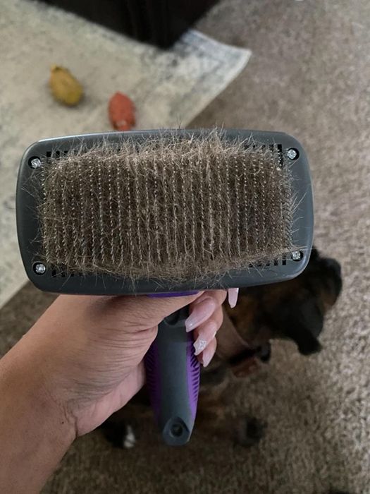 The self-cleaning slicker brush
