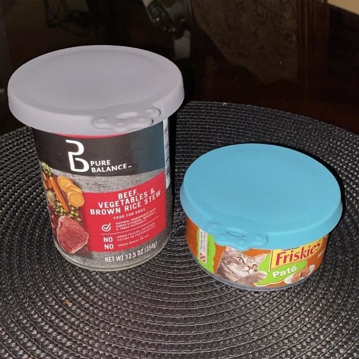Two cat food cans, one large with a label for Pure Balance beef &amp; brown rice, and a smaller one labeled Friskies Pâté