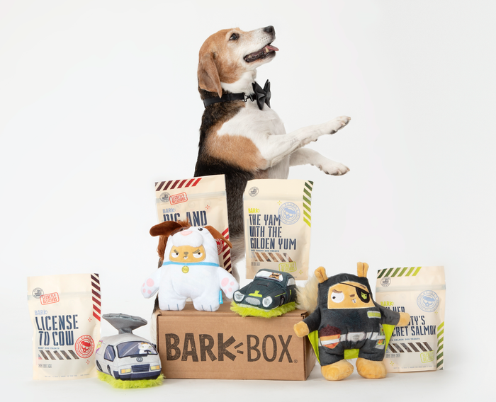 The bundle of joy for your dog
