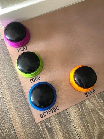 A review image showing four buttons on a piece of cardboard, labeled play, food, outside, and help