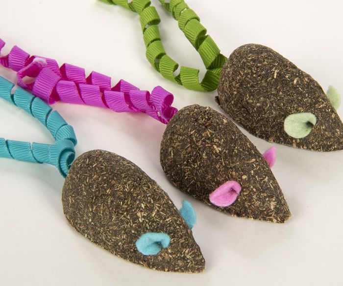 Three compressed catnip mice toys, ready for fun