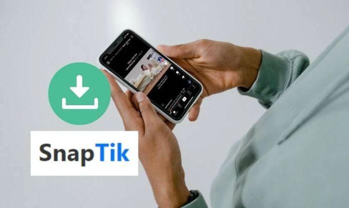 Các tính năng nổi bật của SnapTik Douyin