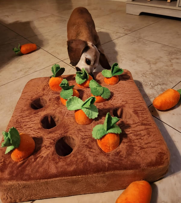 A dog enthusiastically digging in a carrot garden-shaped snuffle mat